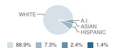 Lakeview Academy Student Race Distribution