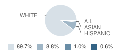 Old Mill Elementary School Student Race Distribution