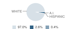 Altamont High School Student Race Distribution