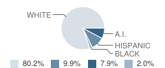 Con Amore School Student Race Distribution