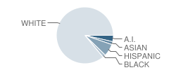 Cedar City Middle School Student Race Distribution