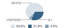 Lake Powell School Student Race Distribution