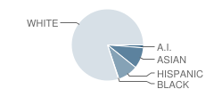 Rock Canyon School Student Race Distribution