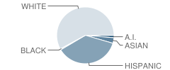 Sunset View School Student Race Distribution