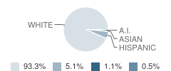 Monroe School Student Race Distribution