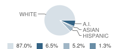 Cedar Ridge High School Student Race Distribution