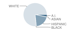 Lava Ridge Intermediate School Student Race Distribution