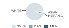 Wayne High School Student Race Distribution