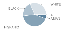 Mayfield Intermediate School Student Race Distribution