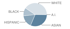 Steuart W. Weller Elementary School Student Race Distribution