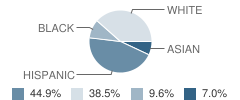 Barrett Elementary School Student Race Distribution