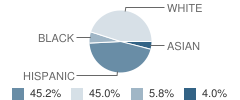 Francis Scott Key Elementary School Student Race Distribution