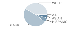 B. M. Williams Primary School Student Race Distribution