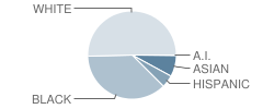 Greenbrier Middle School Student Race Distribution