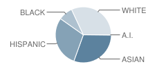 North Springfield Elementary School Student Race Distribution