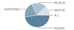 Mcnair Elementary School Student Race Distribution