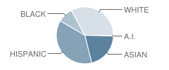 Sterling Elementary School Student Race Distribution