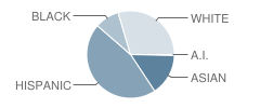 Sterling Middle School Student Race Distribution