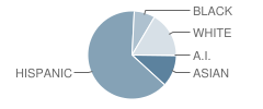 Sully Elementary School Student Race Distribution