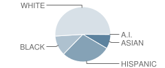 Ball's Bluff Elementary School Student Race Distribution