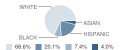 Leesburg Elementary School Student Race Distribution