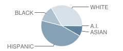 Manassas Park Elementary School Student Race Distribution