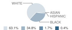 Dan River Middle School Student Race Distribution