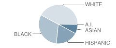 Herbert J Saunders Middle School Student Race Distribution