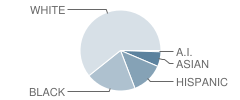 Rockhill Elementary School Student Race Distribution