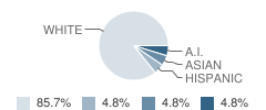 Children First School Student Race Distribution