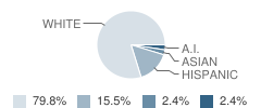 Special Programs School Student Race Distribution