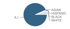 Wellpinit Elementary School Student Race Distribution