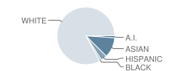 Renaissance School of Art and Reasoning Student Race Distribution