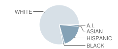 Naches Valley Intermediate School Student Race Distribution