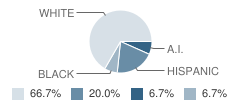 Yakima Valley Memorial Hospital School Student Race Distribution