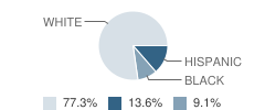 White Salmon Academy Student Race Distribution