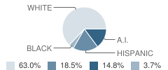 Grays Harbor Juvenile Detention School Student Race Distribution