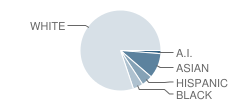 Central Kitsap Junior High School Student Race Distribution