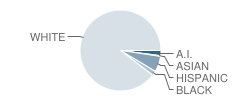 Broadway Elementary School Student Race Distribution