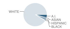 Mountain View Middle School Student Race Distribution