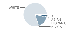 Lincoln Elementary School Student Race Distribution