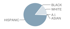 Thompson Elementary School Student Race Distribution