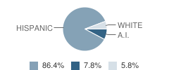 Granger Middle School Student Race Distribution