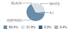 Tieton Intermediate School Student Race Distribution