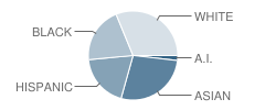 Kent-Meridian High School Student Race Distribution