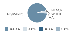 Artz Fox Elementary School Student Race Distribution