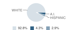 Parent Partner Program School Student Race Distribution