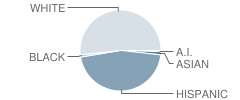 Longview Elementary School Student Race Distribution