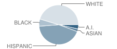 North Elementary School Student Race Distribution