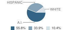 White Swan High School Student Race Distribution